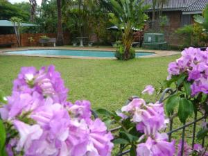a garden with pink flowers and a swimming pool at Stokkiesdraai Holiday Apartments in St Lucia