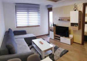 a living room with a couch and a tv at Forest Dreams in Zlatibor