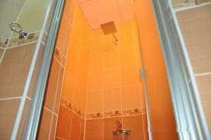 イスタンブールにあるBahaus Guesthouse Hostelのオレンジタイルのバスルーム(シャワー付)