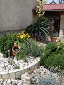 un jardín con flores y plantas en un patio en Aranyhal apartman, en Sárvár