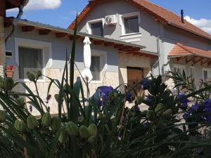 una casa con una flor blanca delante de ella en Aranyhal apartman, en Sárvár