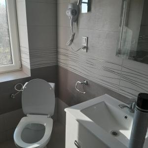 a bathroom with a white toilet and a sink at Apartament Orlik in Tylicz