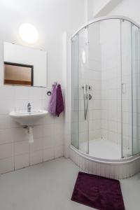 a bathroom with a shower and a sink and a mirror at Hotel VP1 in Ostrava