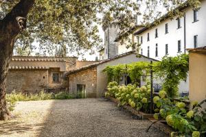 a courtyard of a building with a tree and plants at Torre a Cona Wine Estate in Florence
