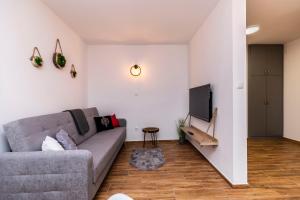 ein Wohnzimmer mit einem Sofa und einem TV in der Unterkunft Apartament Hanki przy Krupówkach in Zakopane