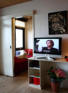 TV a/nebo společenská místnost v ubytování Vigen ferielejligheder
