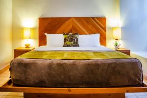 Postel nebo postele na pokoji v ubytování Castillo Blarney Inn