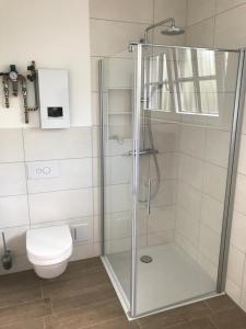 een badkamer met een glazen douche met toilet bij Haus zur Aach Tinyhouse in Uhldingen-Mühlhofen +32 foto's