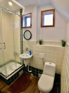 a bathroom with a shower and a toilet and a sink at Pod lipą in Ruciane-Nida