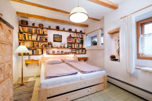 ein Schlafzimmer mit einem Bett in einem Zimmer mit Bücherregalen in der Unterkunft Chalupa na Fryšavě in Fryšava