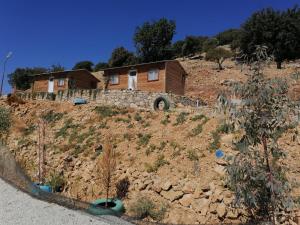 Gallery image of Pavlonya Bungalows in Mugla +8 photos