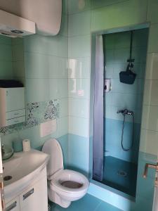 W łazience znajduje się prysznic, toaleta i umywalka. w obiekcie Alo Alo Apartman 6 w mieście Kruševac