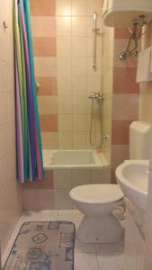 ein Bad mit einer Dusche, einem WC und einem Waschbecken in der Unterkunft Studio apartman Nina in Kraljevica