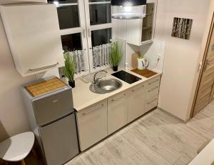 Kuchyňa alebo kuchynka v ubytovaní Apartamenty W Brzozowym Gaju