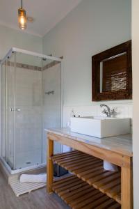 a bathroom with a sink, toilet and shower at The Beach House Guest House in Hout Bay