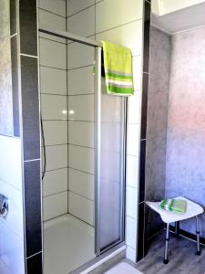 a shower with a glass door in a bathroom at Haus Am Battenstein in Hilders