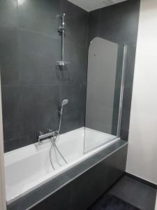 a bath tub with a shower and a mirror at Central and Cozy in Brussels in Brussels