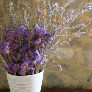 Fotografie z fotogalerie ubytování Agriturismo Le Valli v destinaci Casciana Terme