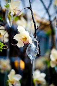 
a flower in a vase on a tree branch at Clarion Collection Hotel Tollboden in Drammen
