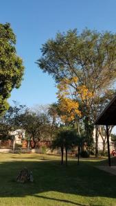 a park with trees and a tree stump in the grass at Pousada Cheiro de Mato in Bonito