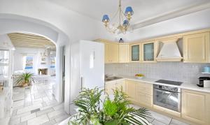 Kuchyň nebo kuchyňský kout v ubytování IThea Villa Mykonos