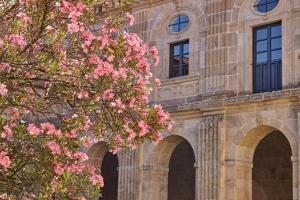 Imagen de la galería de Eurostars Monumento Monasterio de San Clodio Hotel, en Leiro