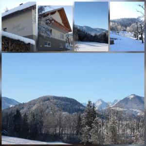 a collage of four pictures of a mountain at Landhaus Ziegelstadel in Windischgarsten