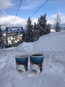 two cups in the snow next to a ski lift at VХаті in Slavske +14 photos