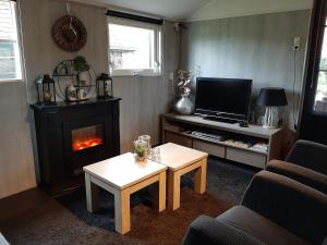 ein Wohnzimmer mit einem Kamin und einem TV in der Unterkunft gastenverblijf Ebbenbroek in Bruchterveld