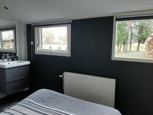ein Schlafzimmer mit einem Bett und einem Waschbecken sowie zwei Fenstern in der Unterkunft gastenverblijf Ebbenbroek in Bruchterveld