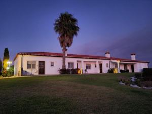a house with a palm tree in front of it at Herdade da Vagem in Rogil