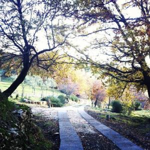 Zahrada ubytování Agriturismo Podere Costarella