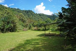 a field with a gazebo in the middle of a field at Mindo Real in Mindo