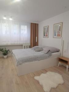 a white bedroom with a bed and a white rug at Apartament uTymka in Słupsk