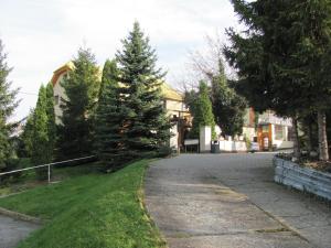 a driveway with a pine tree in front of a house at Penzion Muraty in Ostrava