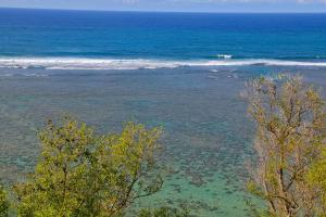 uma vista para uma praia com árvores e o oceano em Club Wyndham Ka Eo Kai em Princeville