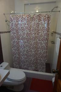 a bathroom with a shower curtain and a toilet at Hostal Camiluz in Nazca