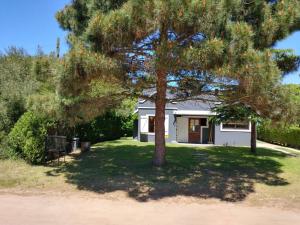 a tree in front of a small white house at Casa Valeria del Mar 8 pax in Valeria del Mar