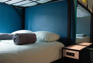 a bed in a room with a blue wall at California Dreams Hostel - Pacific Beach in San Diego