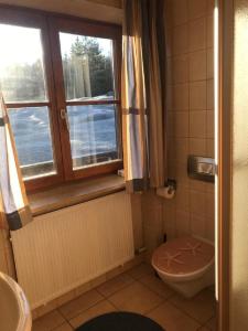 een badkamer met een toilet en een raam bij Ferienwohnungen Arnika in Krün +22 foto's