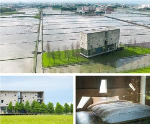 Fotografia z galérie ubytovania Rice Field Homestay v destinácii Wujie