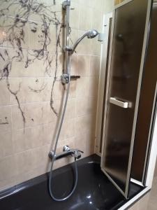a bathroom with a shower with a drawing on the wall at Fenecchio in Fiumalbo