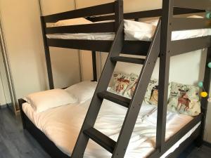 a bunk bed with a ladder next to a bed at LES ÎLES - Parking, Balcon, Netflix & PS4! in Annecy