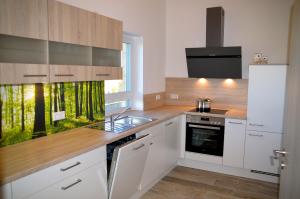 a kitchen with white cabinets and a sink at Frankenhaus in Höchstädt bei Thiersheim