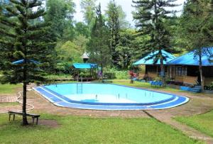 uma piscina num quintal com uma árvore em Lembah Biru Lagoon em Manda
