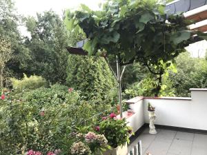 a garden on the balcony of a house at Schöne Ferienwohnung in Kürten in Kürten