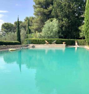 una piscina di acqua blu con due animali seduti in essa di Mas de Monge a Tarascona