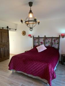 Postel nebo postele na pokoji v ubytování Chateau de la Saone