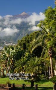 Gallery image of Toplage. Blick. Sauber. Günstig. Pool. Gepflegt in Puerto de la Cruz