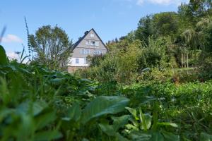 an old house in the middle of a field of plants at The Conscious Farmer Bed and Breakfast Sauerland in Willingen